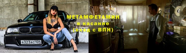 шишки Абаза