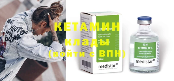 шишки Абаза
