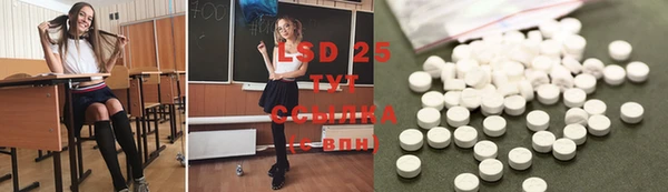 твердый Алексеевка