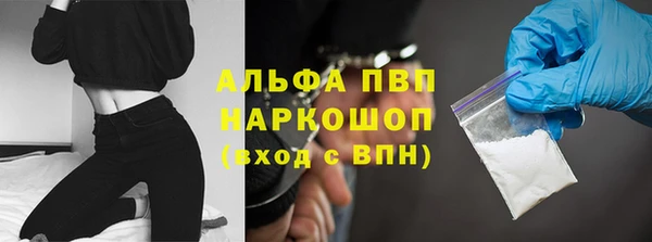 шишки Абаза