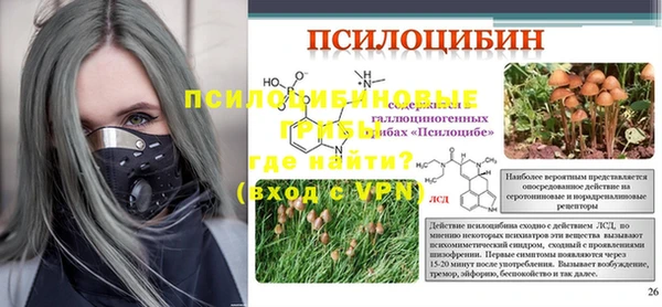 твердый Алексеевка