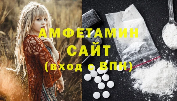 шишки Абаза