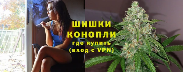 шишки Абаза