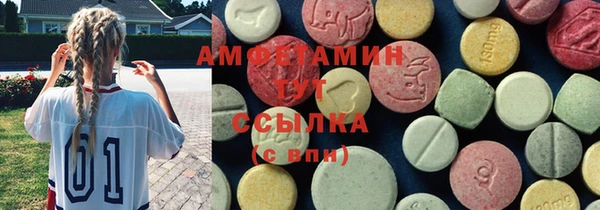 шишки Абаза