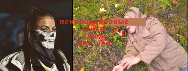 шишки Абаза