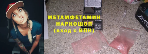 шишки Абаза