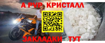 стафф Можга