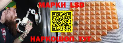 стафф Можга