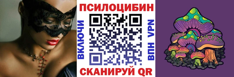 Галлюциногенные грибы Psilocybe blacksprut tor Богданович