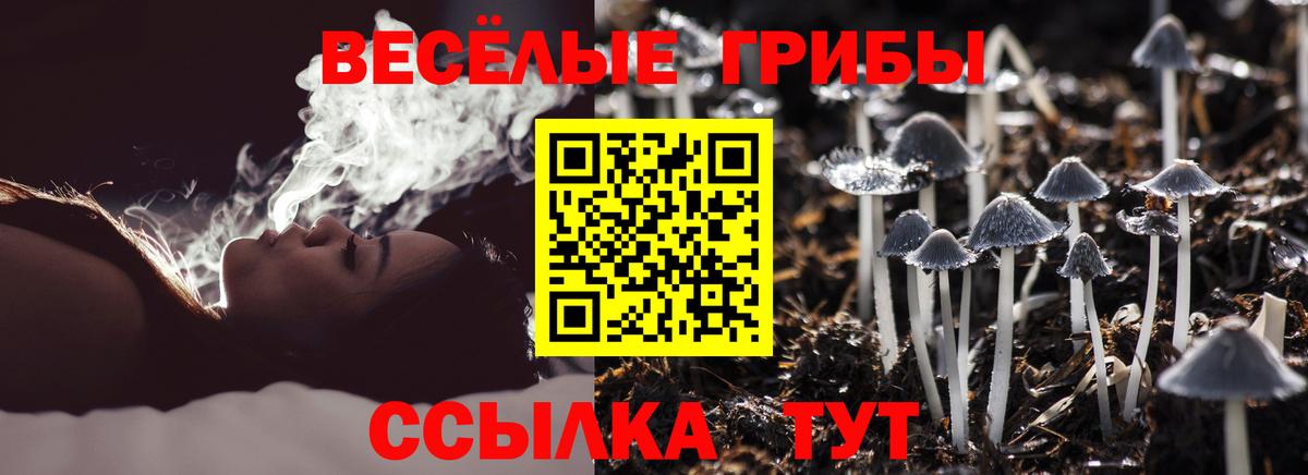 Богданович  Псилоцибиновые грибы мицелий  Вход с VPN 