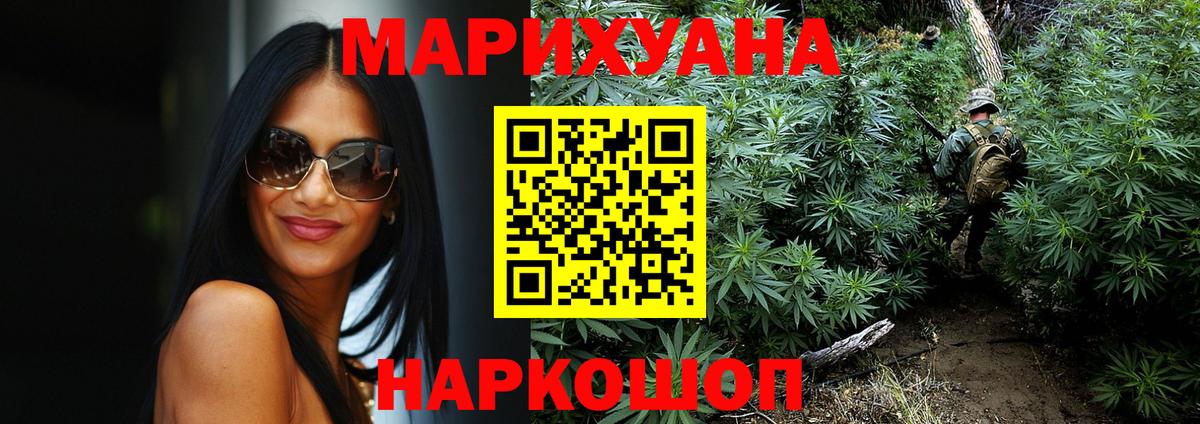 Каннабис сатива Богданович