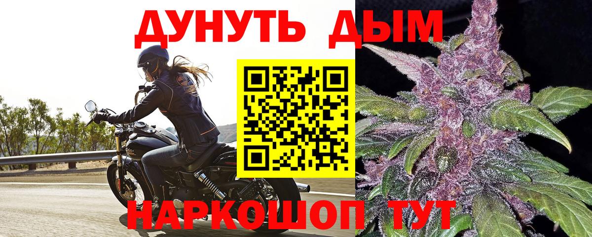 Каннабис семена  Вход с VPN  Марихуана тримм  Конопля THC 21%  Богданович 